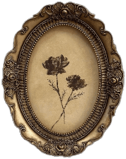 Decorative flower frame